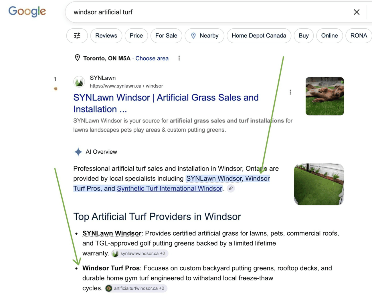 Google results for windsor artificial turf citing our site in the AI Overview and top providers list